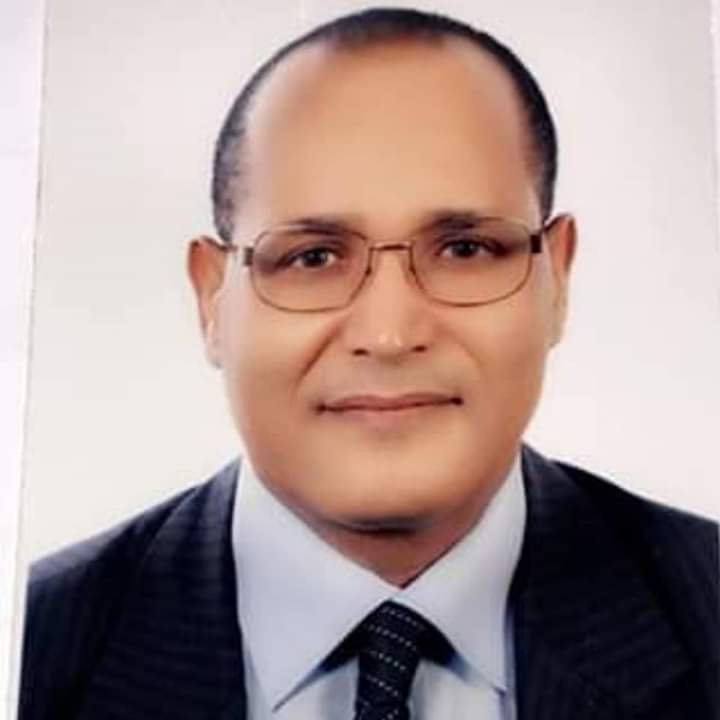 محمد الأمين ولد اكيك  / الوزير الأول السابق و الاستاذ في القانون العام 