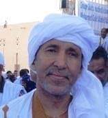 محمد ولد انويگظ 