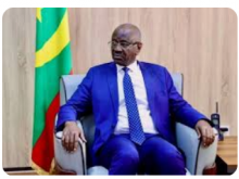 الوزير محمد سالم ولد مرزوك / وزير الخارجية  الموريتاني 